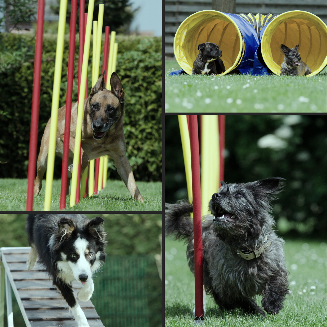agility-tarare
